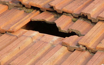 roof repair Knowle Green